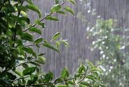 صدور هشدار‌های هواشناسی برای فعالیت سامانه بارشی و کاهش دما در خوزستان