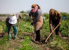 اجرای طرح روستای بدون مددجوی بیکار در خوزستان