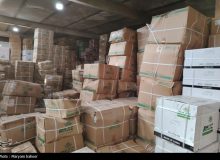 ترخیص کالاهای رسوبی، قاچاق و متروکه در بنادر شتاب می‌گیرد
