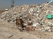 اهواز تا پیش از نوروز خالی از نخاله خواهد شد
