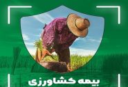 ۱۵ اسفند ۱۴۰۳؛ آخرین مهلت بیمه محصولات کشاورزی در خوزستان