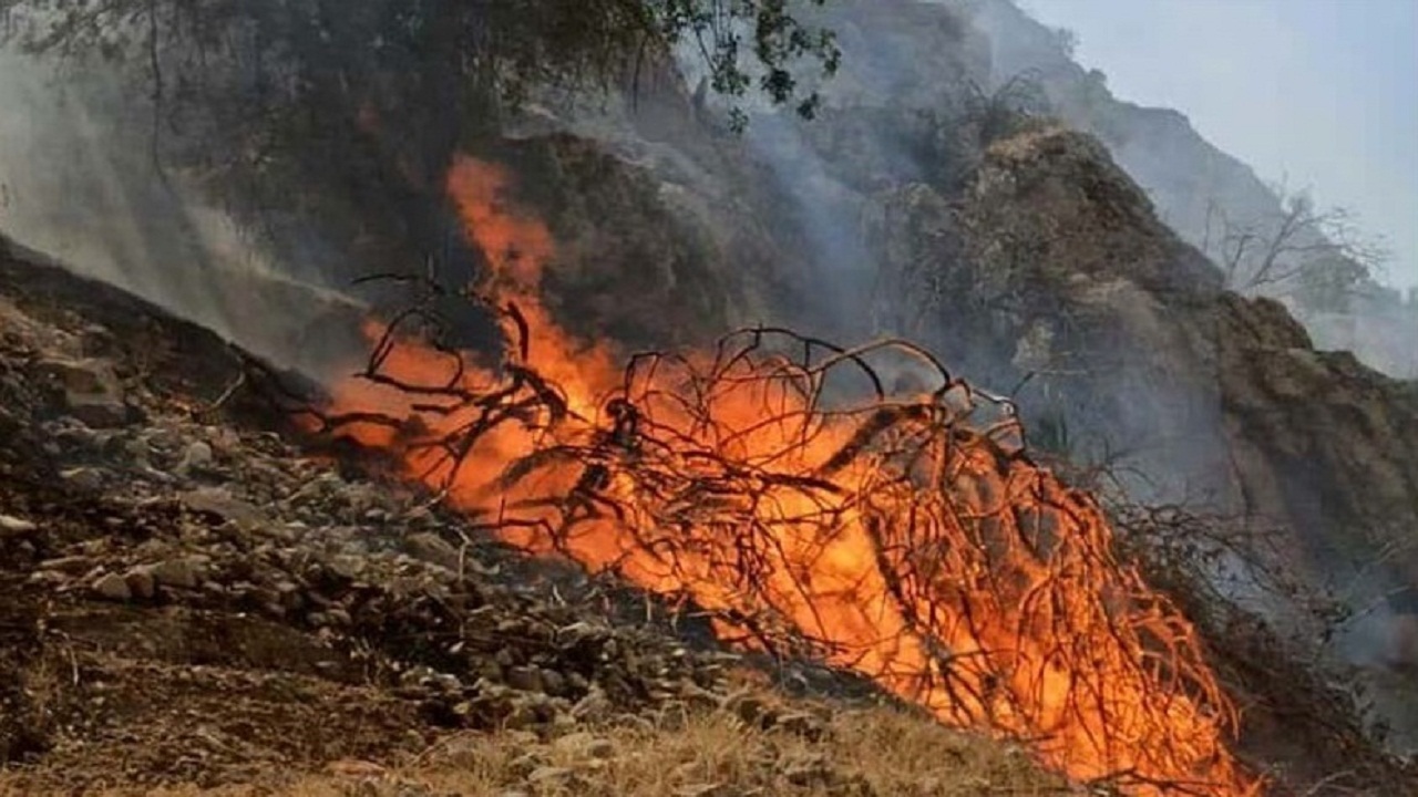 وقوع ۲۲۰ حادثه آتش سوزی در جنگل‌ها و مراتع خوزستان