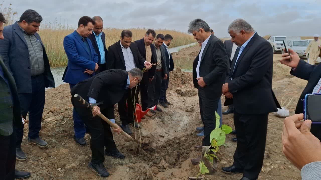 کاشت چهار هزار درخت در محور شادگان – دارخویین