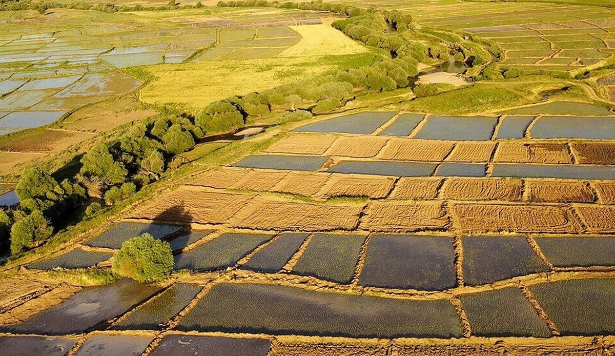 استفاده از اراضی کم بازده در خوزستان برای اجرای درخواستهای تغییر کاربری