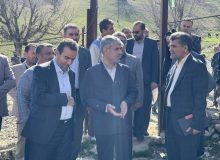 برق رسانی به روستا‌های دزپارت از اولویت‌های شرکت توزیع برق استان