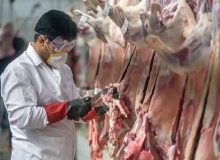 نظارت دامپزشکی خوزستان بر تولید بیش از ۶ میلیون کیلوگرم گوشت قرمز و سفید