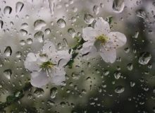 خوزستان باهوای بارانی به استقبال سال نو می‌رود