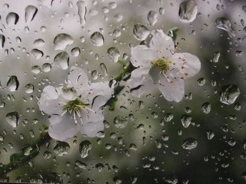 خوزستان باهوای بارانی به استقبال سال نو میرود
