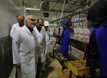 لزوم تضمین تأمین مرغ در تعطیلات عید و ارتقای بهداشتی کشتارگاه اهواز