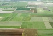 شناسایی ۱۰۸ مورد تغییر کاربری غیرمجاز در اراضی کشاورزی خوزستان