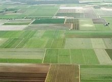 شناسایی ۱۰۸ مورد تغییر کاربری غیرمجاز در اراضی کشاورزی خوزستان