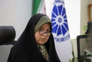 دلالان مانع از تغییر سطح عمومی قیمت‌ها با وجود ریزش ارزش دلار