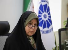 دلالان مانع از تغییر سطح عمومی قیمت‌ها با وجود ریزش ارزش دلار