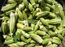 کشت بامیه به روش آبیاری قطره‌ای برای اولین‌بار در ماهشهر