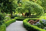 کاشت یک میلیارد درخت یکی از بزرگ ترین طرح‌ های وزارت جهاد کشاورزی