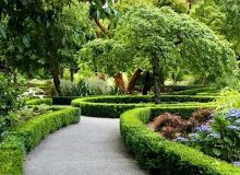 کاشت یک میلیارد درخت یکی از بزرگ ترین طرح‌ های وزارت جهاد کشاورزی