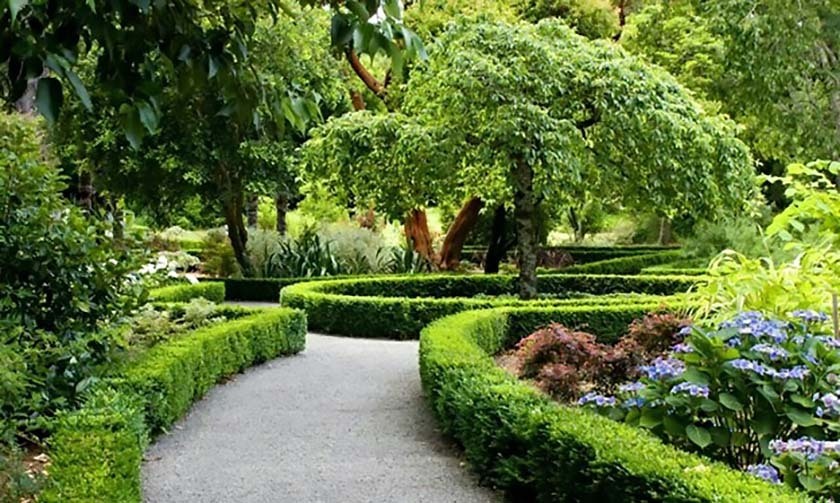 کاشت یک میلیارد درخت یکی از بزرگ ترین طرح های وزارت جهاد کشاورزی