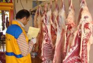 انجام بیش از ۱۱ هزار مورد بازرسی بهداشتی دامپزشکی خوزستان