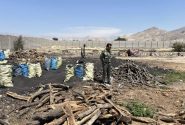 شناسایی و جمع آوری چندین محل دپو چوب و کوره زغال غیر مجاز در بهبهان