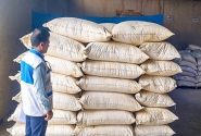 معدوم سازی ۳۴۰ کیلوگرم خوراک آبزیان غیر قابل مصرف در اندیمشک