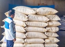 معدوم سازی ۳۴۰ کیلوگرم خوراک آبزیان غیر قابل مصرف در اندیمشک