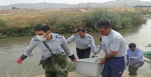 کشف یک جسد با هویت نامشخص از رودخانه شاوور کرخه