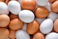 تولید بیش از ۱۵ هزار تن تخم مرغ در رامهرمز