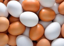 تولید بیش از ۱۵ هزار تن تخم مرغ در رامهرمز