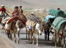 ادامه کوچ بهاره عشایر به مناطق ییلاقی تا ۱۵ اردیبهشت