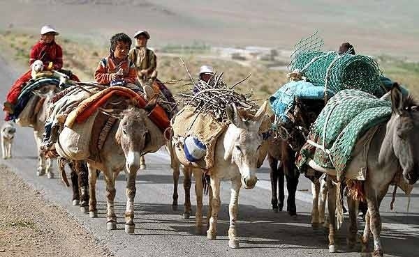 ادامه کوچ بهاره عشایر به مناطق ییلاقی تا ۱۵ اردیبهشت