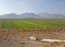 مقابله با تغییر کاربری غیر مجاز در حمیدیه