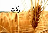 جمع آوری ۳ هزار و ۱۴۴ میلیارد تومان زکات در کشور