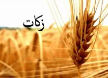 جمع آوری ۳ هزار و ۱۴۴ میلیارد تومان زکات در کشور