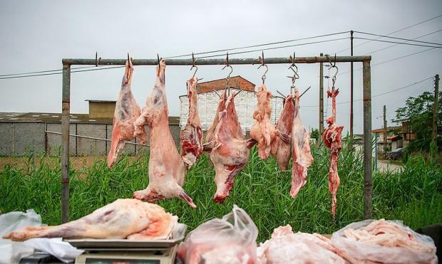 آغاز طرح تشدید پیشگیری از عرضه گوشت کشتار غیر مجاز در باغملک