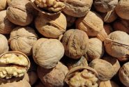 محکومیت قاچاقچی گردو در اهواز