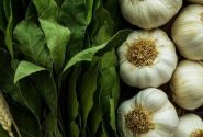 برگزاری دومین جشنواره سبزی و سیر رامهرمز