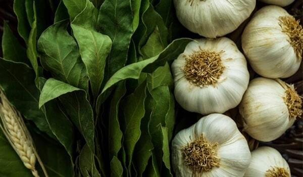برگزاری دومین جشنواره سبزی و سیر رامهرمز
