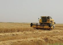 اعلام نرخ کارکرد کمباین جهت برداشت گندم و کلزا مناطق دیم اندیمشک