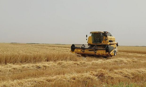 اعلام نرخ کارکرد کمباین جهت برداشت گندم و کلزا مناطق دیم اندیمشک