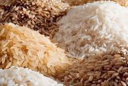 ثبت سفارش واردات برنج و روغن برای تابستان ۱۴۰۴