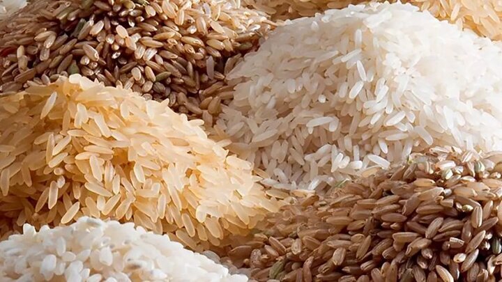 ثبت سفارش واردات برنج و روغن برای تابستان ۱۴۰۴