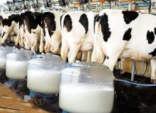 ۲۲ اردیبهشت؛ آغاز پیش فروش بلیت قطار‌های مسافری خرداد