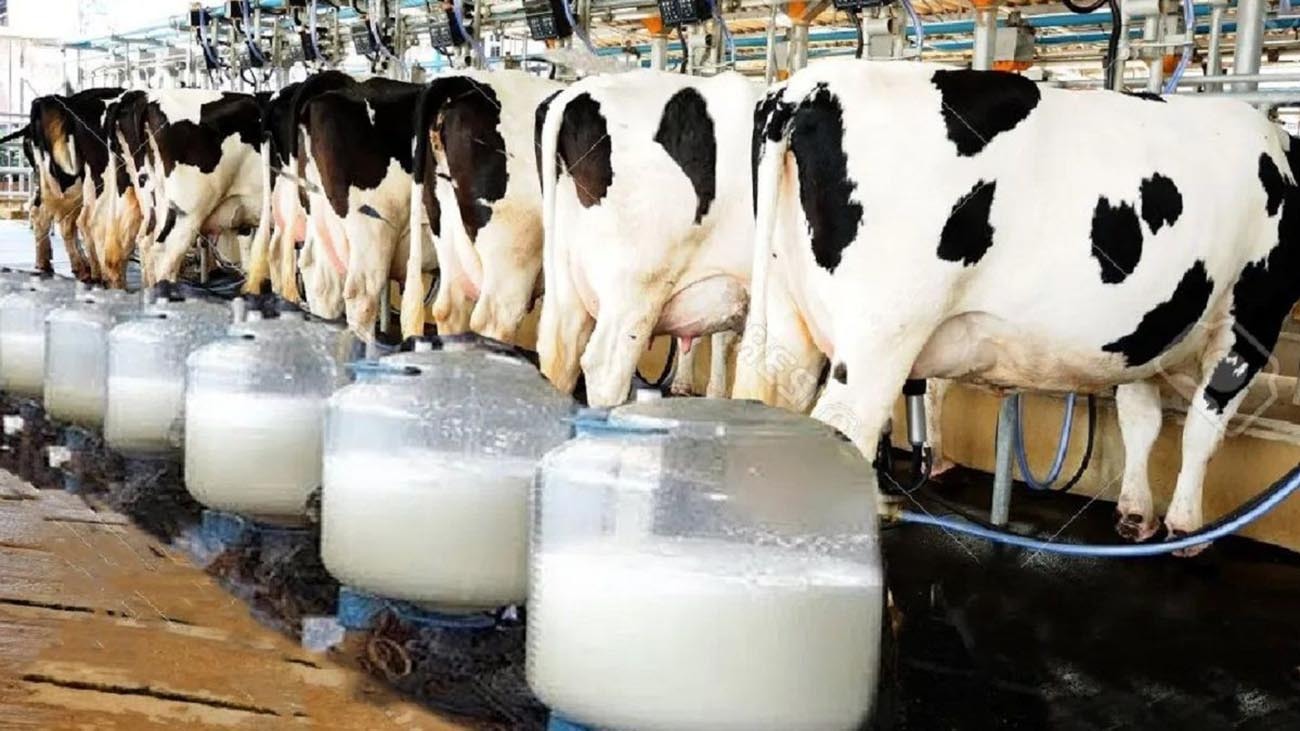 ۲۲ اردیبهشت؛ آغاز پیش فروش بلیت قطارهای مسافری خرداد