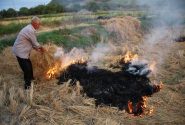 ۵ سال حبس در انتظار عاملان آتش‌زدن بقایای کشاورزی