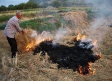 ۵ سال حبس در انتظار عاملان آتش‌زدن بقایای کشاورزی