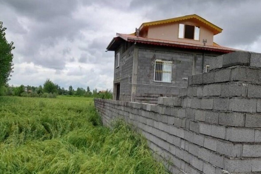 شناسایی ۱۳۸ مورد تغییر کاربری غیرمجاز در اراضی کشاورزی خوزستان