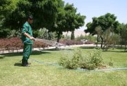 توسعه و بهبود فضای سبز شهری اهواز با تکمیل طرح شبکه آب خام