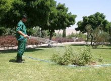 توسعه و بهبود فضای سبز شهری اهواز با تکمیل طرح شبکه آب خام
