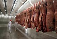 فعالیت ۴ گروه نظارت بهداشتی و شرعی دامپزشکی دشت آزادگان در عید قربان