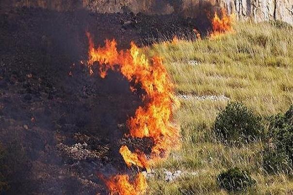 کمآبی عامل آتشسوزی ۲۲ هزار هکتاری در هورالعظیم عراق